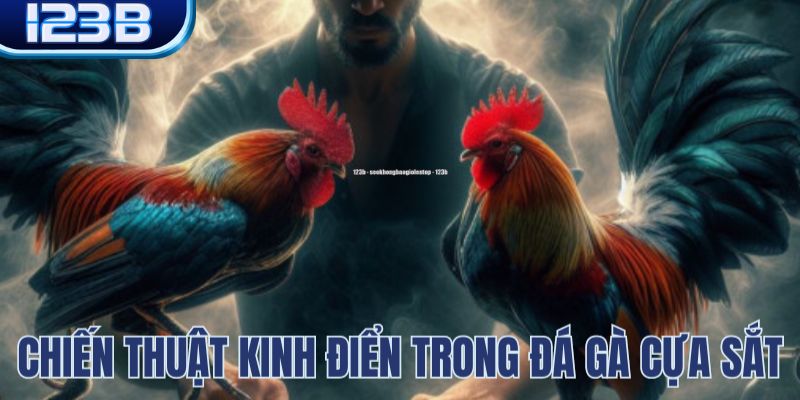 Chiến thuật chọi kê cựa sắt bất bại từ cao thủ 123B