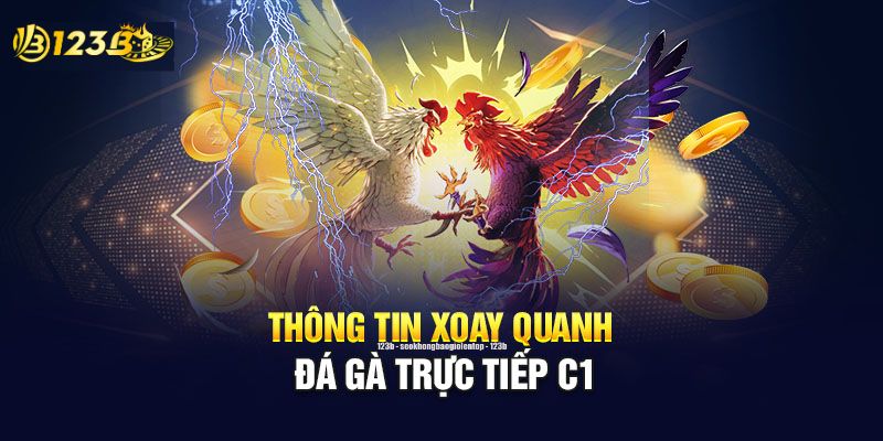 Trực tiếp đá gà C1 và một số thông tin giới thiệu